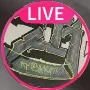 Nesk Graffiti