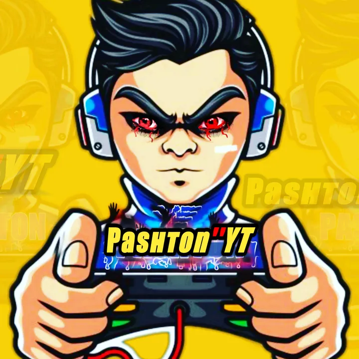 Pashton_yt