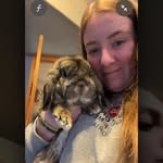 Buddy Bunny