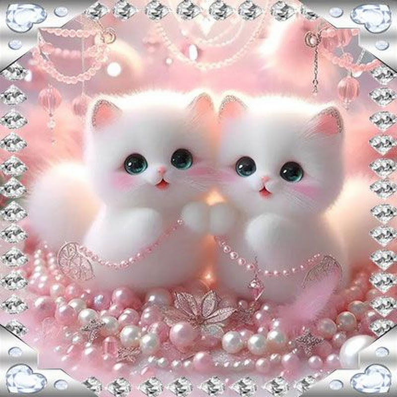  Meow Cat