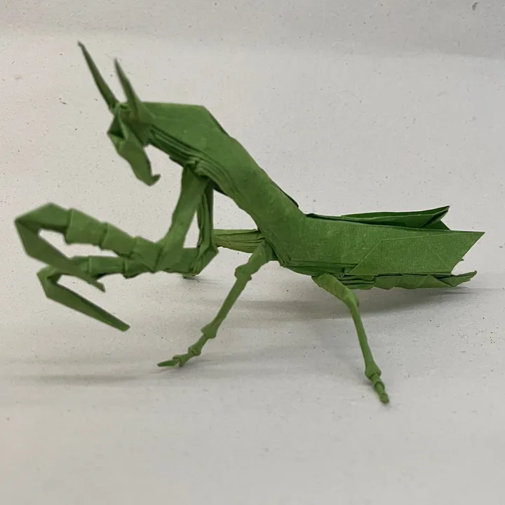 DiegOrigami