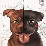 𝕆𝕩𝕒 & 𝕊𝕒𝕜𝕖 • 𝚃𝚎𝚊𝚖 𝙾𝚂𝚂