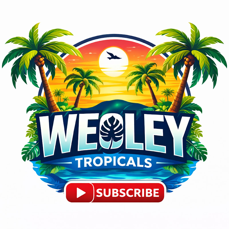 Weoley Tropicals