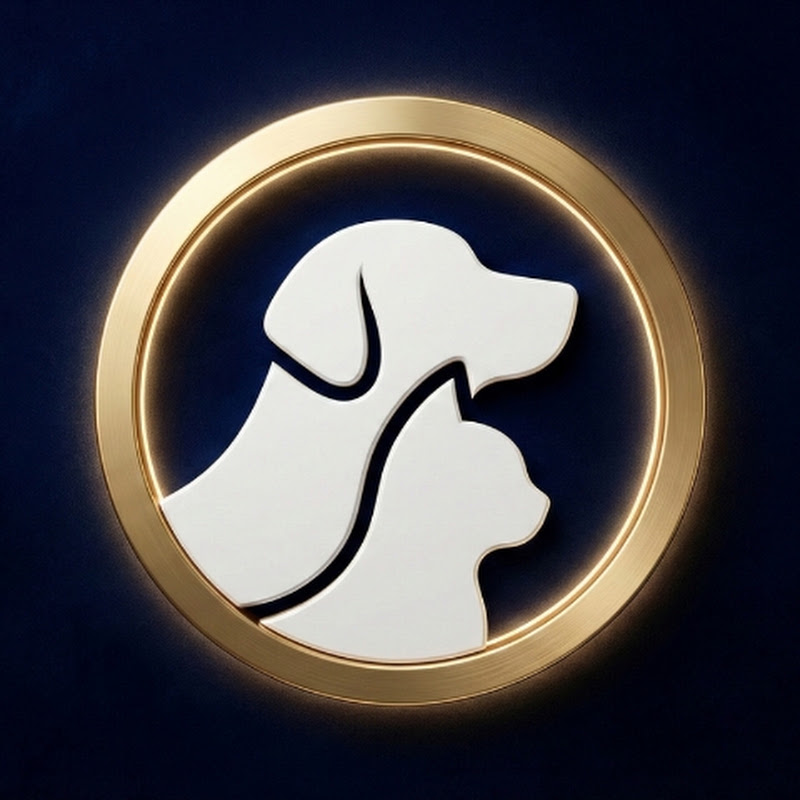 PAWFECT LIFE