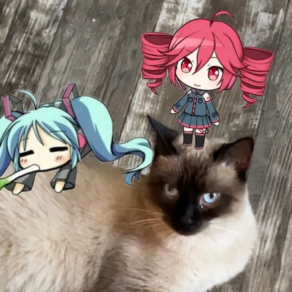 ☦︎