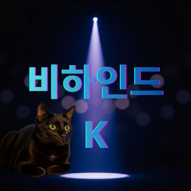 비하인드 K