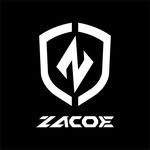 ZACOE Performance