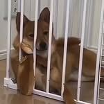 Takamin Sirijariyaporn.