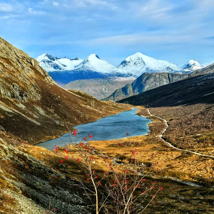 Norwegian Landscapes 🇳🇴