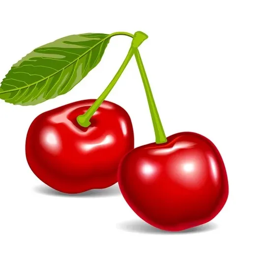 🍒 Cherry 🍒