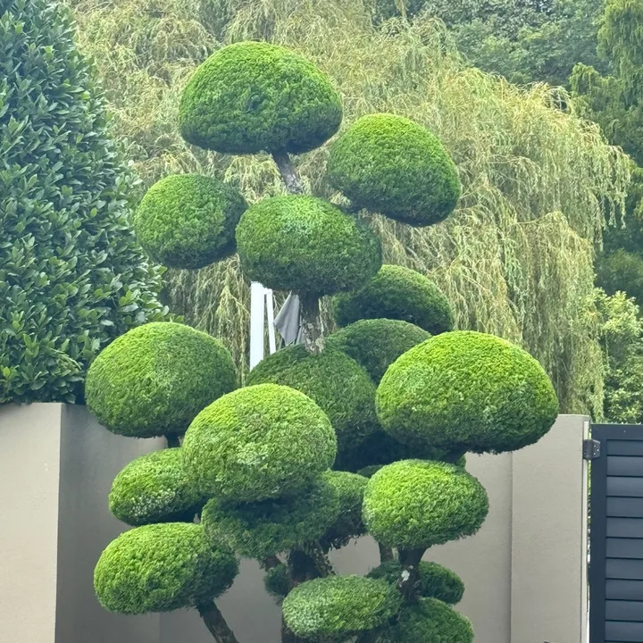wood_lawn_and_gardens