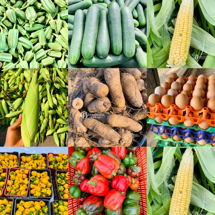 Debowale Farms Limited