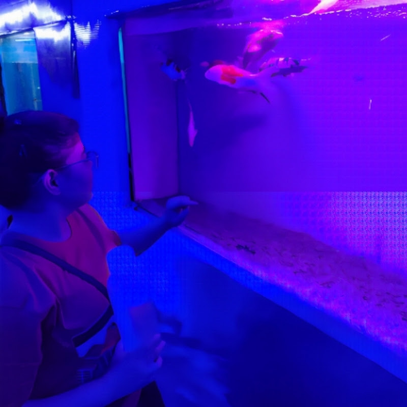 Funky Farin Official