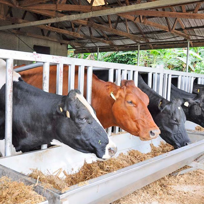 AGRI-BUSINESS.UGANDA