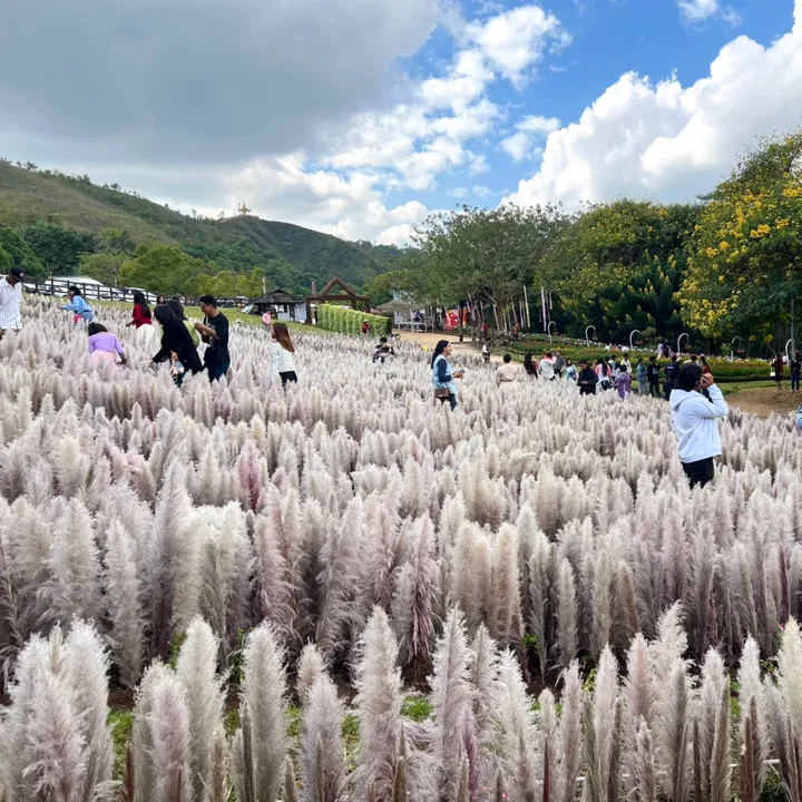 About December Farm & Garden