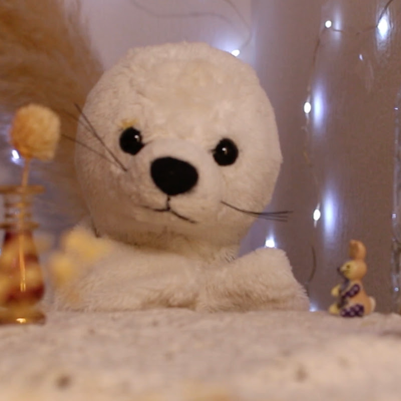 Babyseal ASMR
