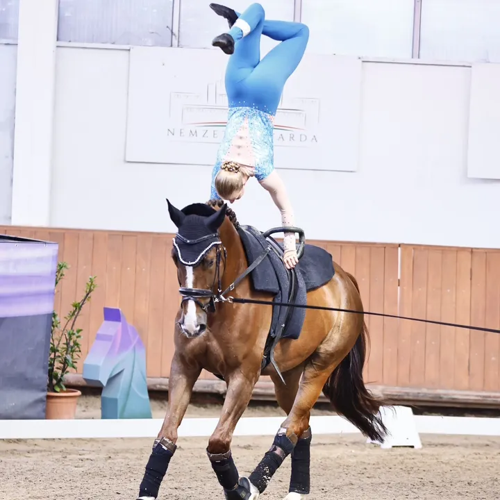 ♡ Phoebe Prisching ♡