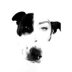 Sharon
