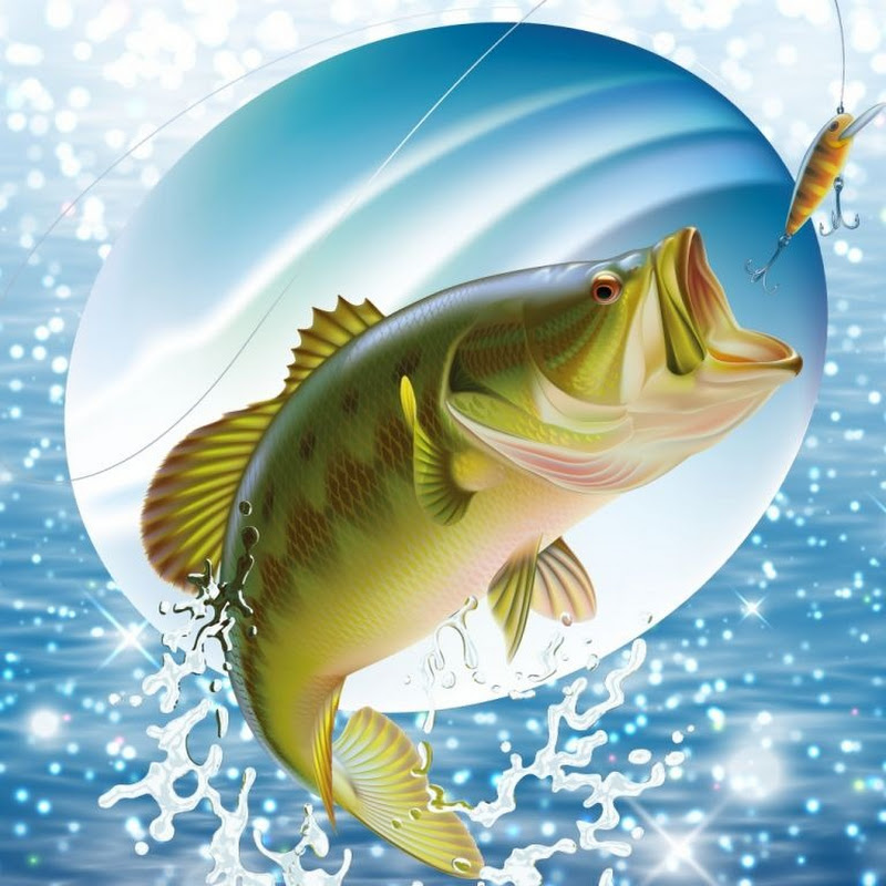 people and fishing