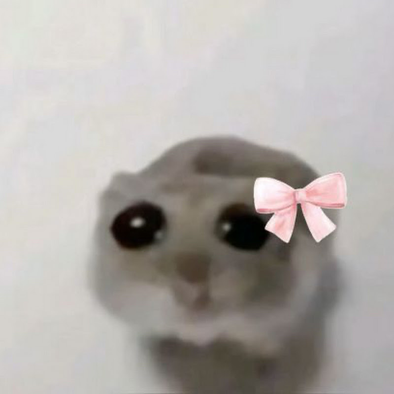فَضآئيَہ 👽🎀