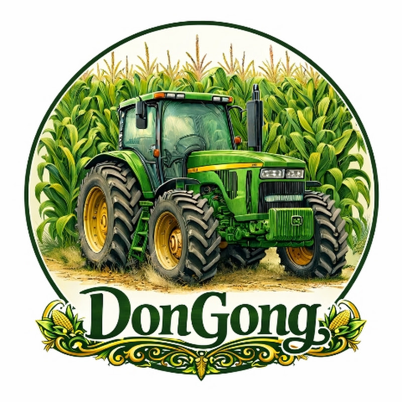 DonGong 001