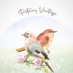ของแต่งบ้าน vintage ของสะสม วินเทจ