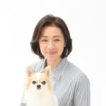 Dog index  MIKI