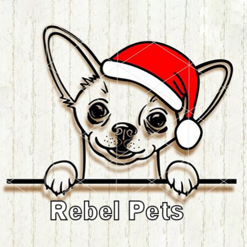 Rebel Pets