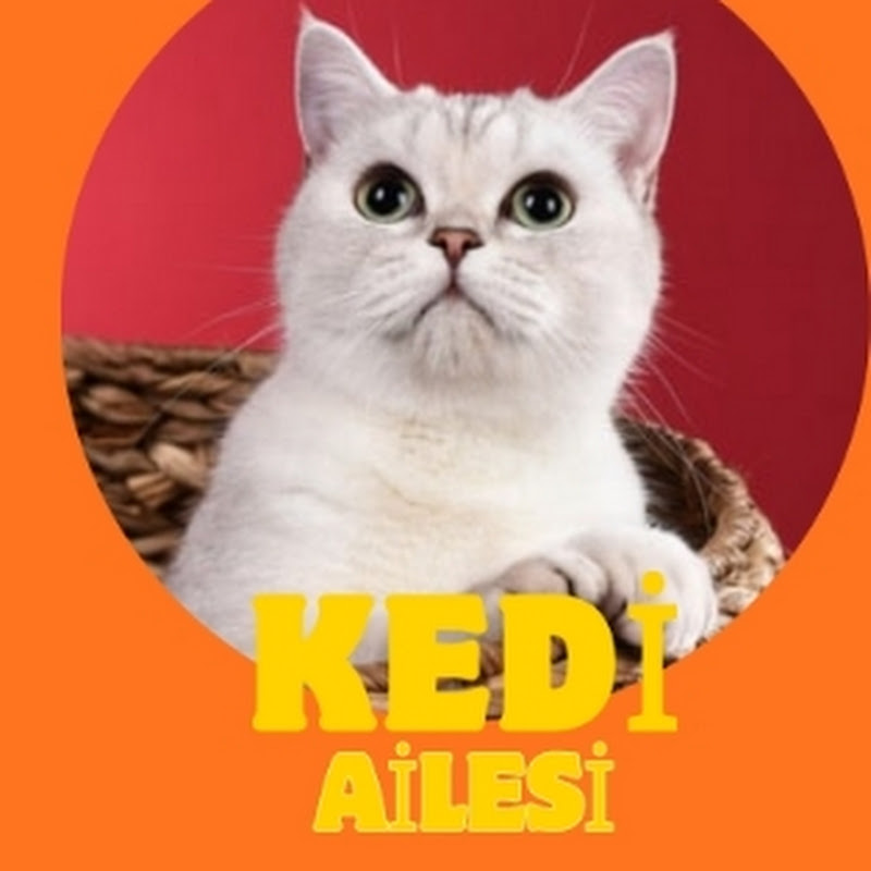 Kedi Ailesi