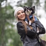 Marina Loyko и чихуахуа мальчик Магнус Монарх Poppy
