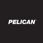 Pelican Australia