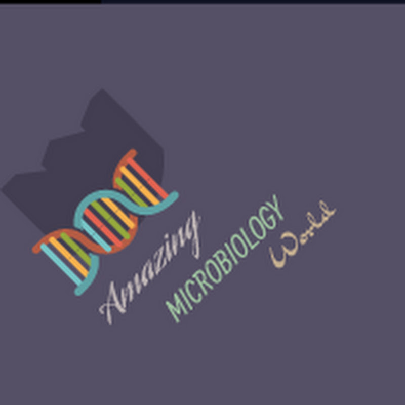 Amazing Microbiology World