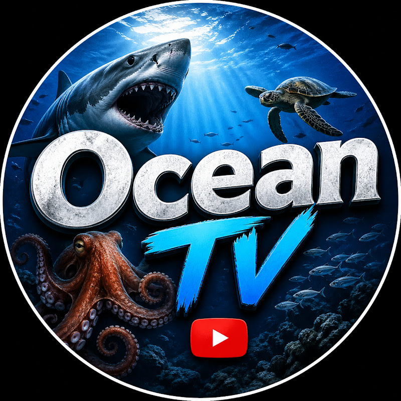 Ocean TV 98
