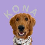 K O N A 🎀