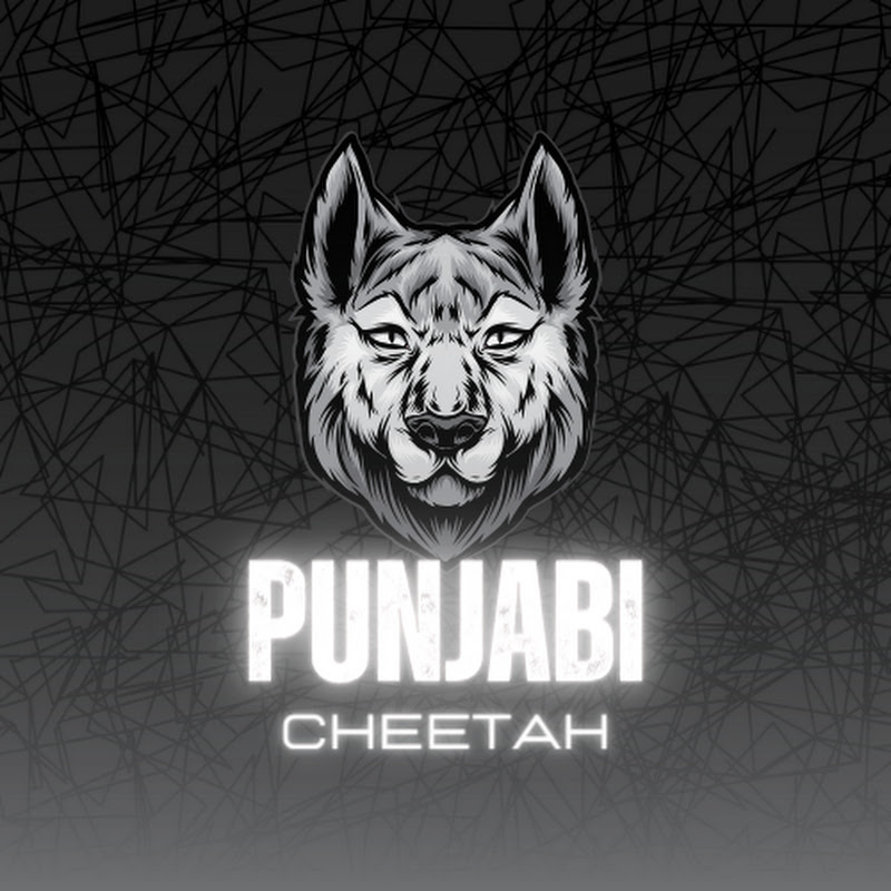 Punjabi Cheetah 