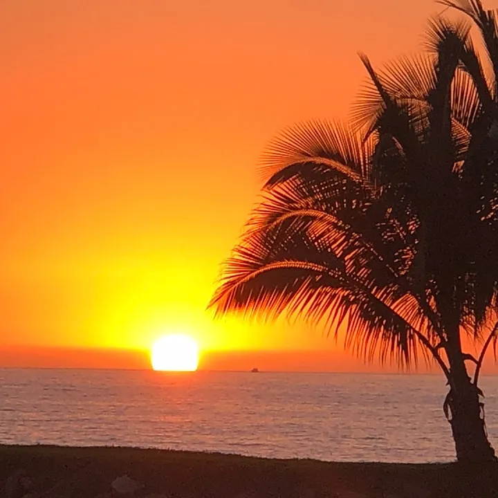 El Pana Mexicano