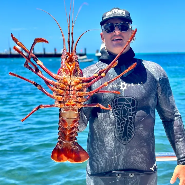 Hunters and Drifters