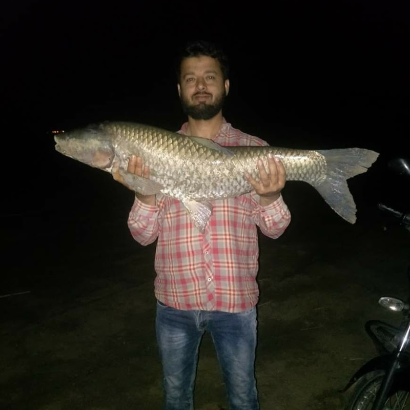 Fishing Knowledge In Hindi