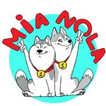 travelling with huskies