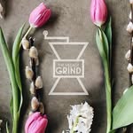 The Village Grind | Greenville, SC