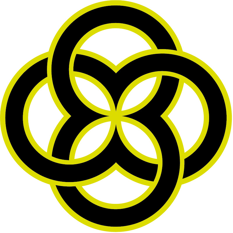 Lemon8