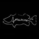 Amazona Wild Art