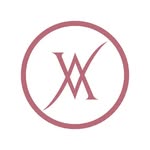 The Aesthetic World by Dr. Vivek Gupta