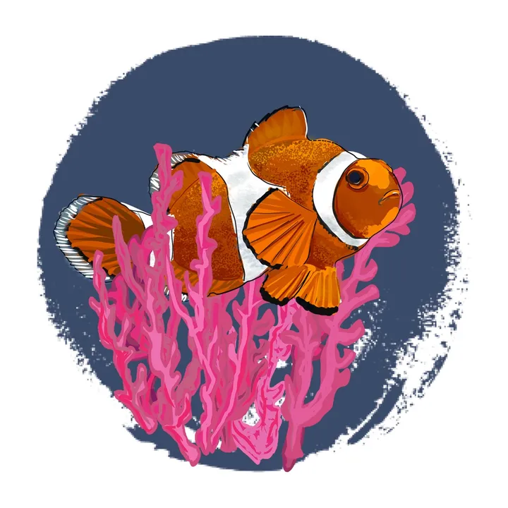Wilder Reefs