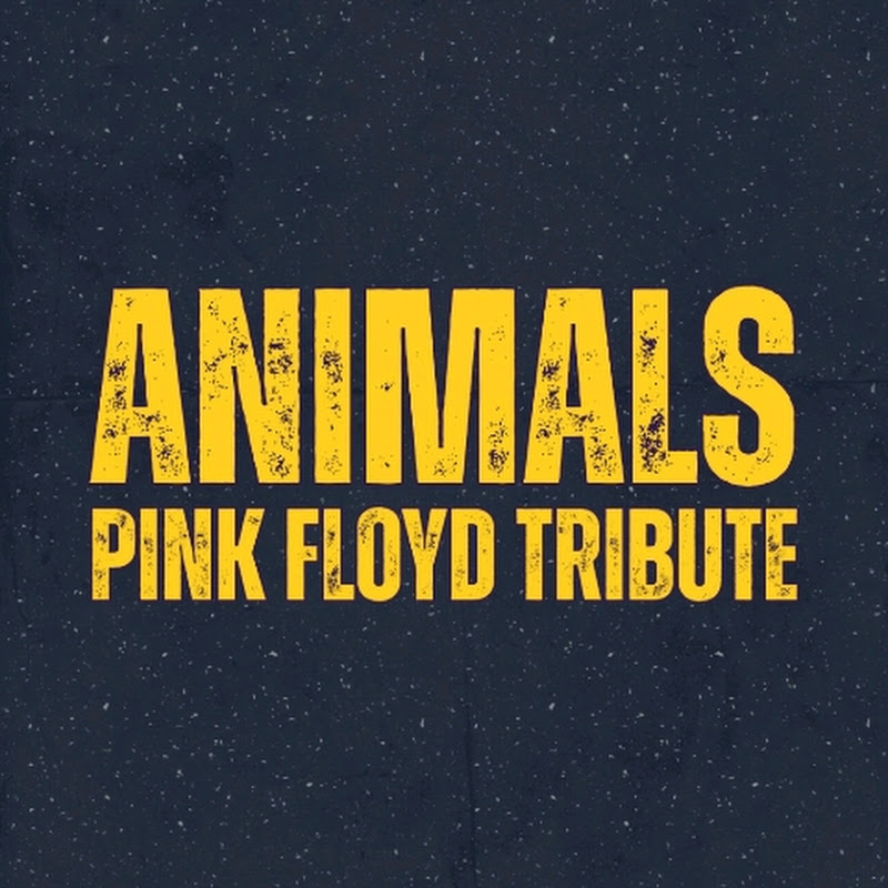 Animals Tributo