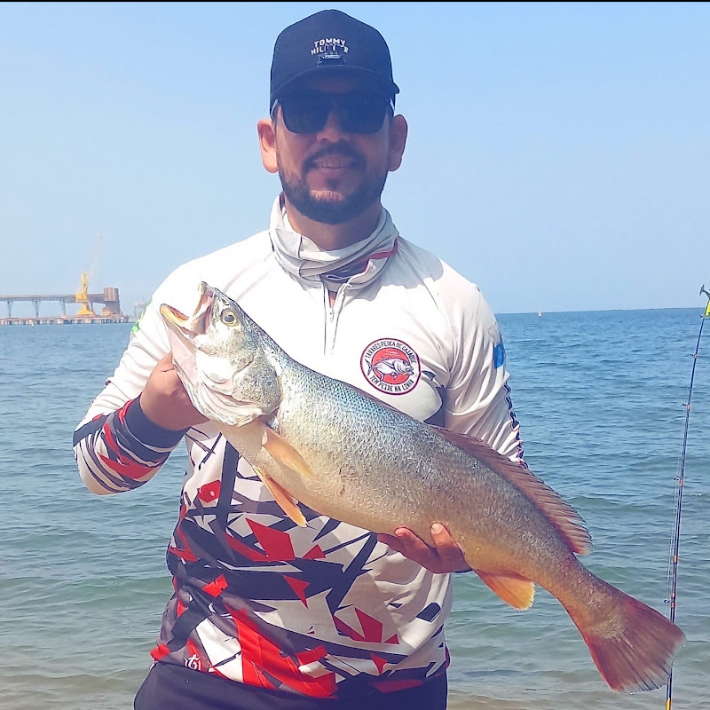Marcio Tavares