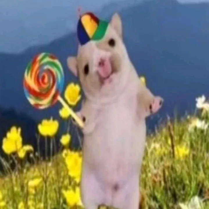 perro nosé we