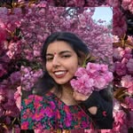 آرزو 아르조 आरज़ू 🌙