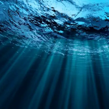 🫧🇴 🇨 🇪 🇦 🇳 🇮 🇦 🫧