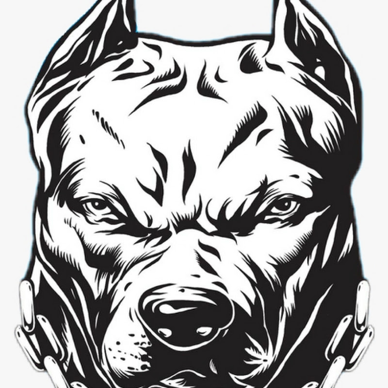 PITBULL EMPIRE